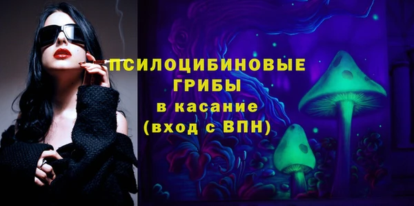 гашик Богородск