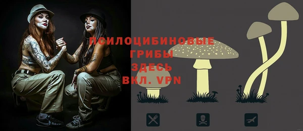 гашик Богородск
