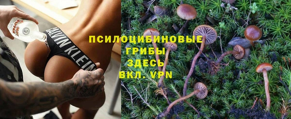гашик Богородск
