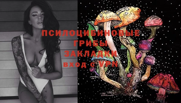 ГАЛЛЮЦИНОГЕННЫЕ ГРИБЫ Богородицк