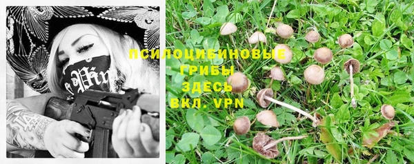 экстази Богданович