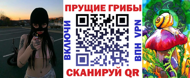 наркота  Лысьва  Галлюциногенные грибы Psilocybe 